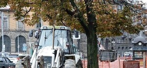 Що там буде: на проспекті Свободи у Львові зрізають дерева