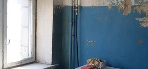 Можно с собаками и детьми: в Киеве смелый арендодатель пытается сдать убитую квартиру