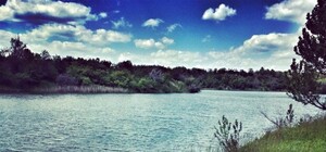 Не суйся в воду: обновлен 