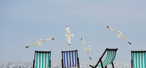 Не суйся в воду: обновлен 