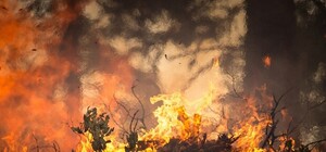 Дышать нечем: днепряне жгут мусор и листья