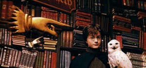 Есть работа: в Киеве ищут 