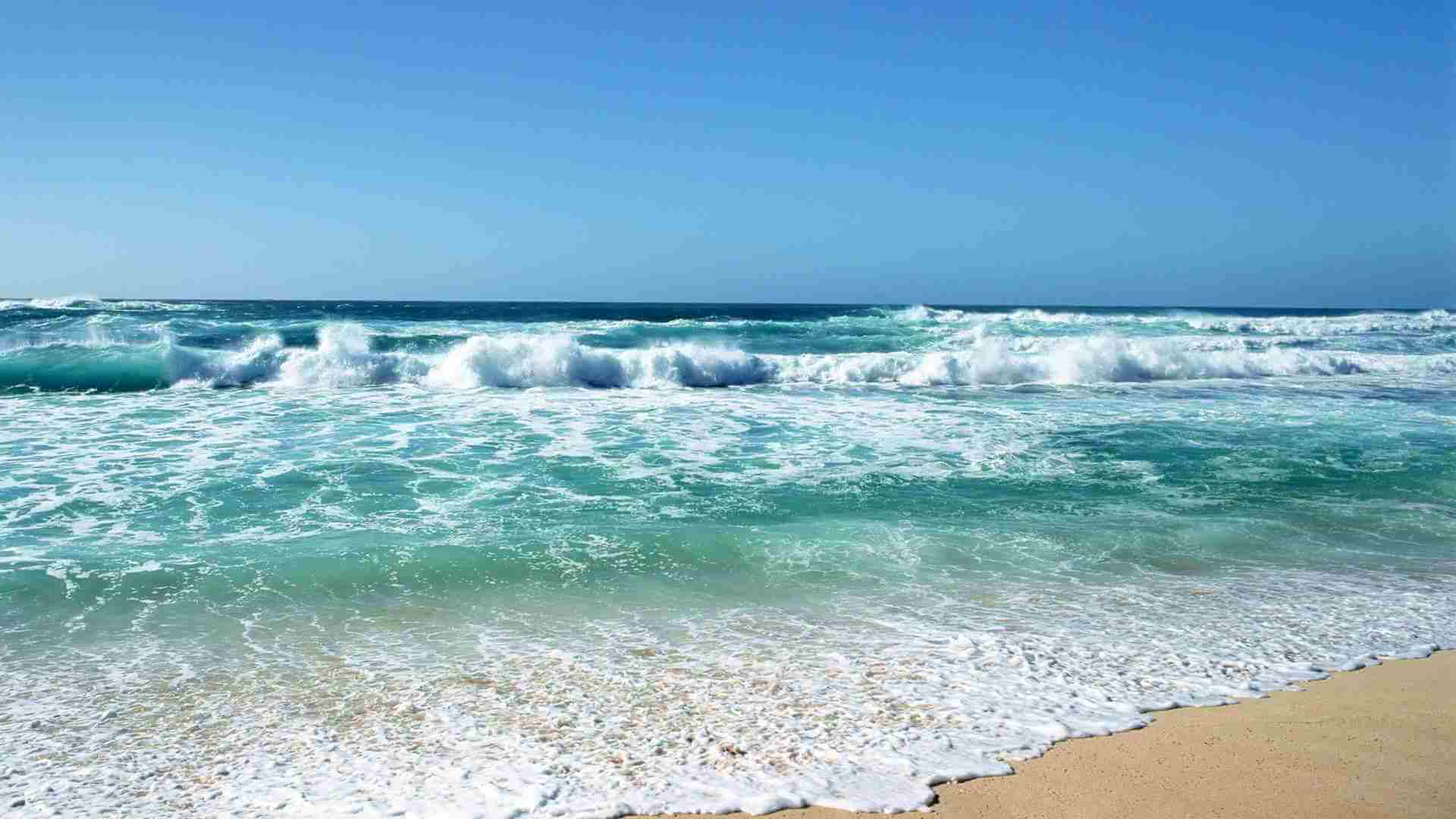 Новость - События - Будь в курсе: на двух пляжах Затоки запретили купаться
