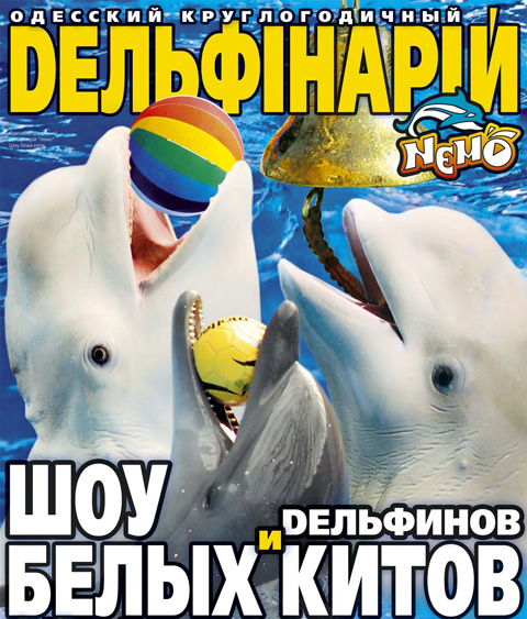 Афиша - Детям - Шоу дельфинов и белых китов