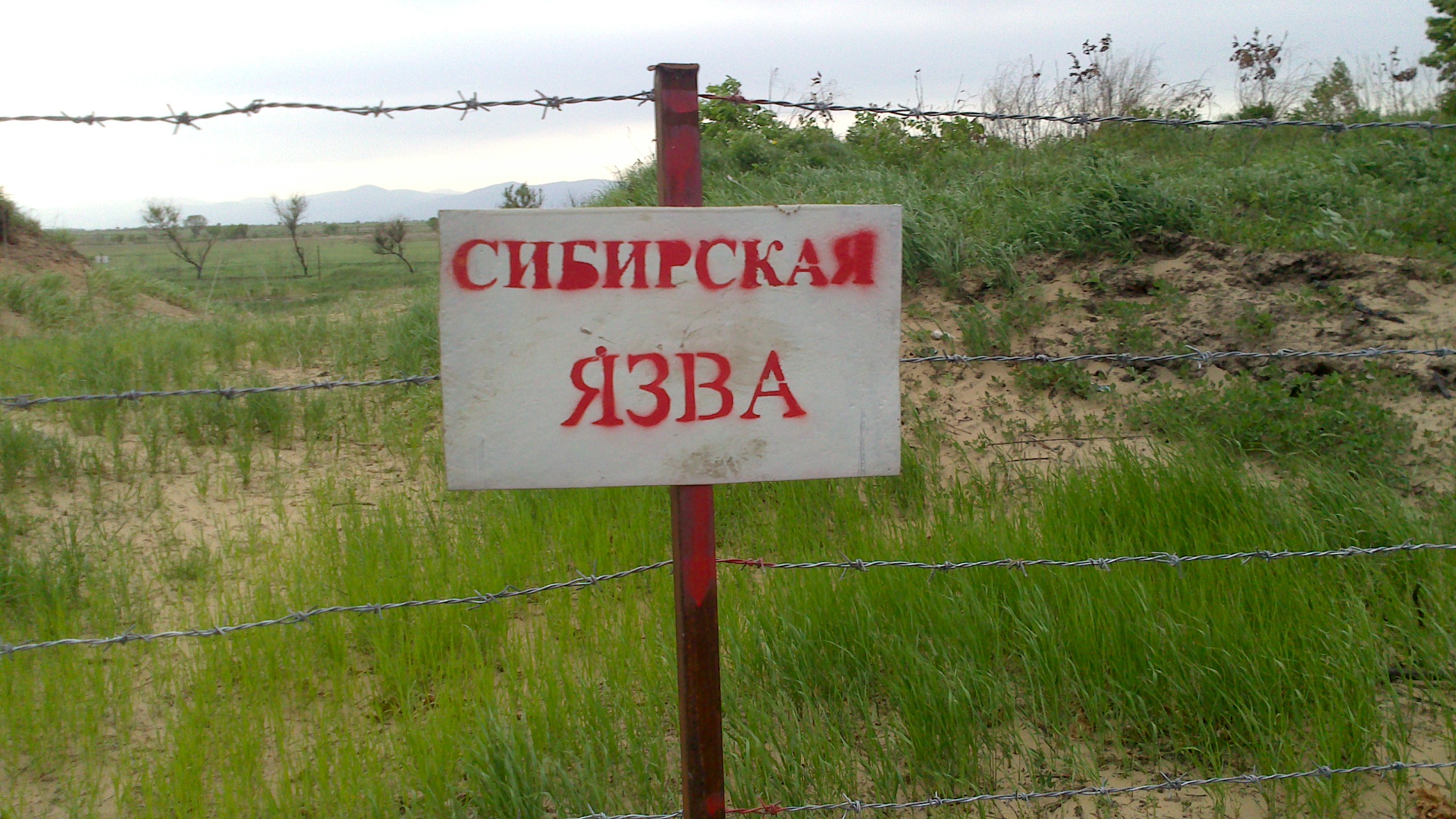 Новость - События - В Одесской области подтвердили случай сибирской язвы, на место отправилась Нацгвардия: все подробности