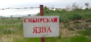 В Одесской области подтвердили случай сибирской язвы, на место отправилась Нацгвардия: все подробности
