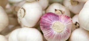 Ульяна Супрун отменила чеснок и 