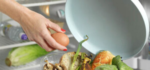 На все свій контейнер: у Львові з'явиться станція для органічних відходів