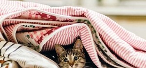 Что происходит: часть Симферополя осталась без тепла