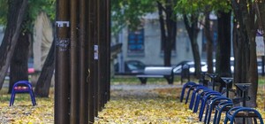 Запомни ее такой: фотоподборка осеннего Днепра