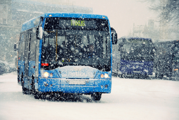 Новость - События - Будь в курсе: в Одессе три городских автобуса изменят свой маршрут
