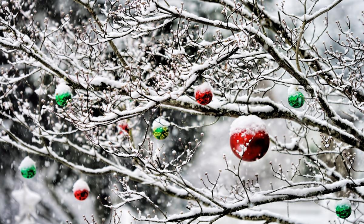 Новость - События - Будет ли снежная сказка: синоптики рассказали  одесситам о погоде на Новый год