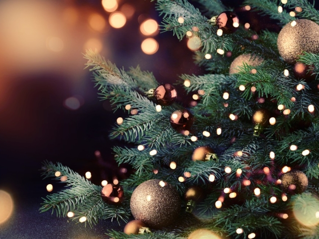 Новость - События - Не пропусти: на Дерибасовской устанавливают новогоднюю елку