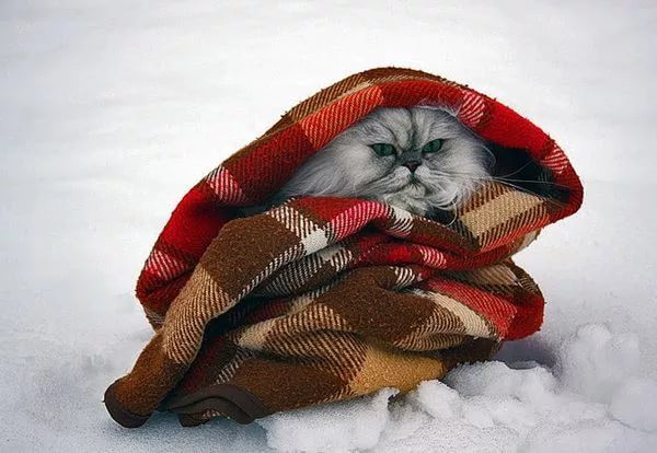 Новость - Коммуналка - Бери кота и лезь под одеяло: центр Одессы остался без отопления