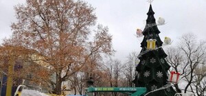 Прощаемся с праздниками: на Думской площади разбирают елку