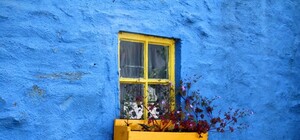 Все має бути жовто-блакитне: львів’ян закликають вивішувати державні прапори