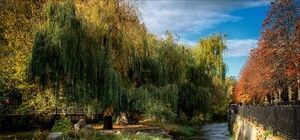 Цифра дня: в Симферополе посчитали, во сколько обойдется реконструкция набережной и очистка Салгира