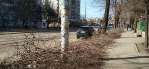 На Почтовой коммунальщики не вывозят горы спиленных веток: на месте образовывается свалка (ФОТО)