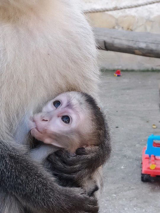 Фото: одесский зоопарк