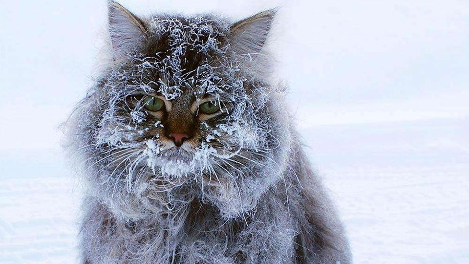 Новость - События - Мокрый снег и до 8 градусов мороза: в Одессу идет резкое похолодание