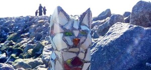 Возвращение Витражика: на пляже в Крыжановке снова поселился кот