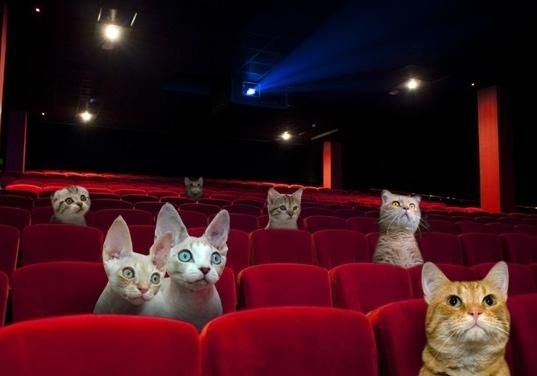 Новость - События - Будь в курсе: в Gagarinn Plaza откроют новый кинотеатр