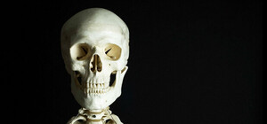 Устанавливают личность: под Харьковом нашли мужской скелет