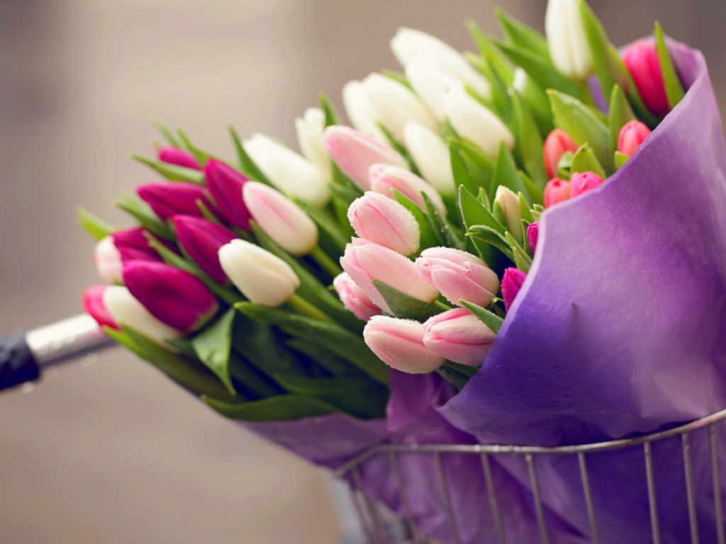 Новость - События - Готовь кошелек: во сколько одесситам обойдутся цветы на 8 марта