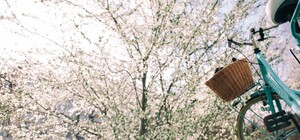 Пісня буде поміж нас: серед львівських школярів оголосили конкурс кліпів