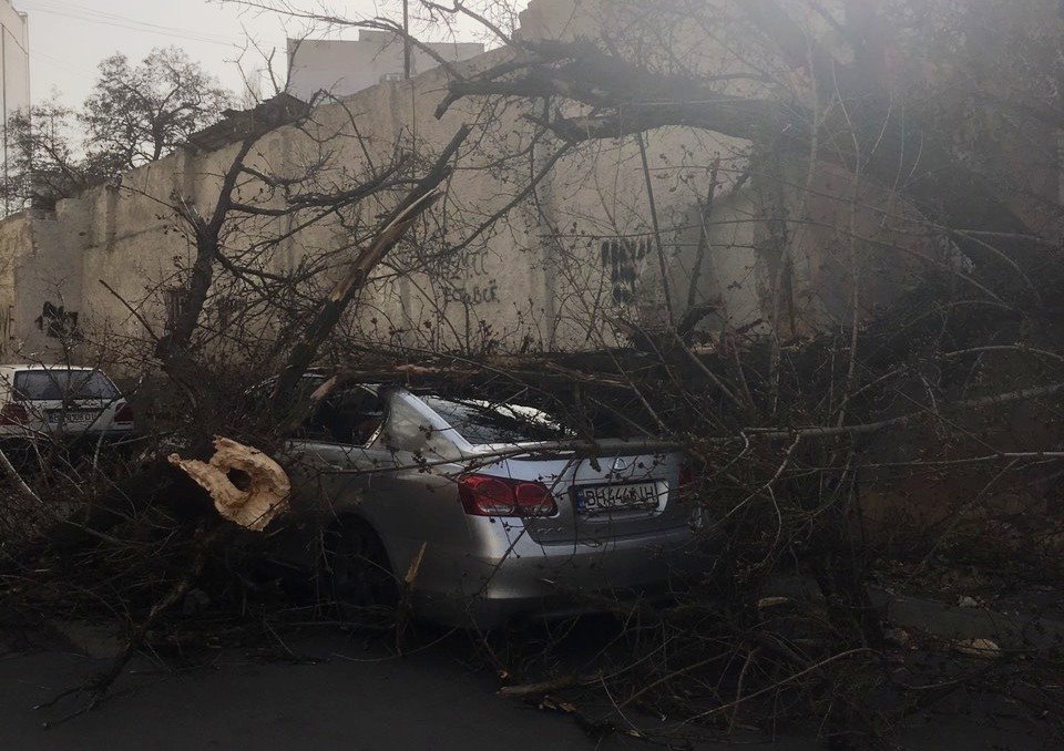 11 марта на Одессу обрушился сильный ветер и пыльную бурю: последствия 