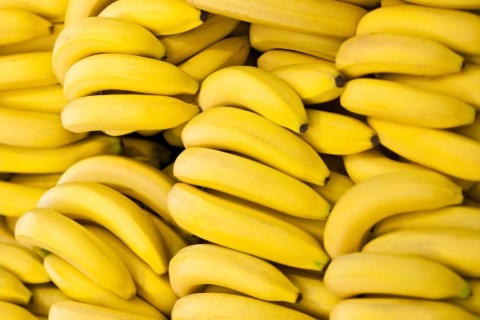 Новость - События - Попались: под Одессой пограничники нашли в бананах более 250 килограмм кокаина