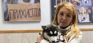 Перший пацієнт: завдяки банку крові для тварин у Львові врятували цуценя