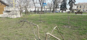 Ничего святого: в Дарницком районе вандалы испортили растения в сквере
