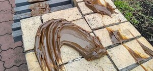 Чтобы не шумели: на Оболонской набережной местные измазали лавки и бордюры