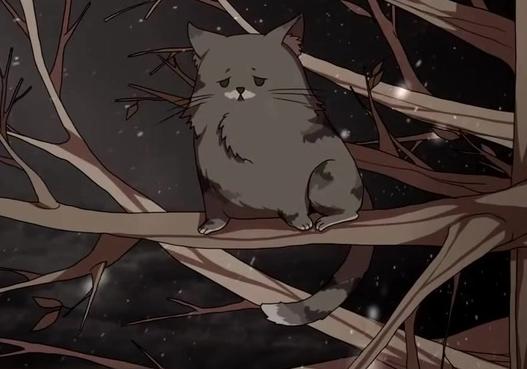 Скриншот из видео Enjoykin — Зато я спас кота