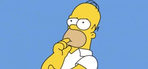 Очень оригинально: на Западном нашли способ борьбы с аварийными деревьями (фото)