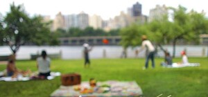 Жить здорово: в Минздраве рассказали, как вести себя на пикнике