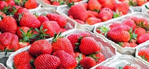 Неприятного аппетита: в супермаркете продают испорченную клубнику (фото)