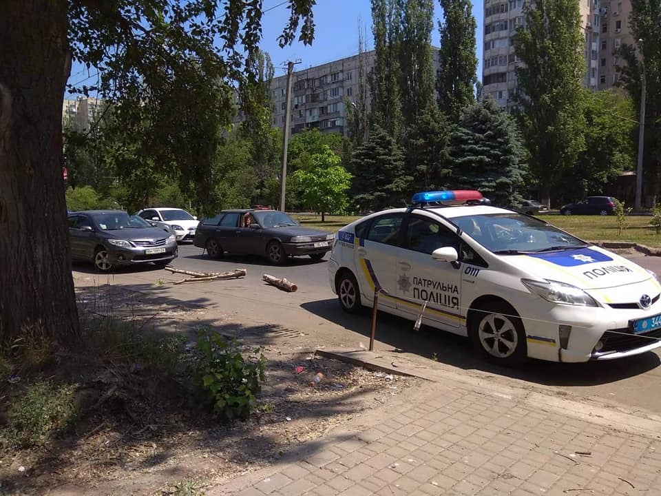 1 июня 2019 года в Одессе снова вырубили деревья. Фото: Зеленый лист