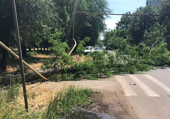 На Львовской упавшее дерево перекрыло дорогу и сломало газовую трубу. Фото 7 канала
