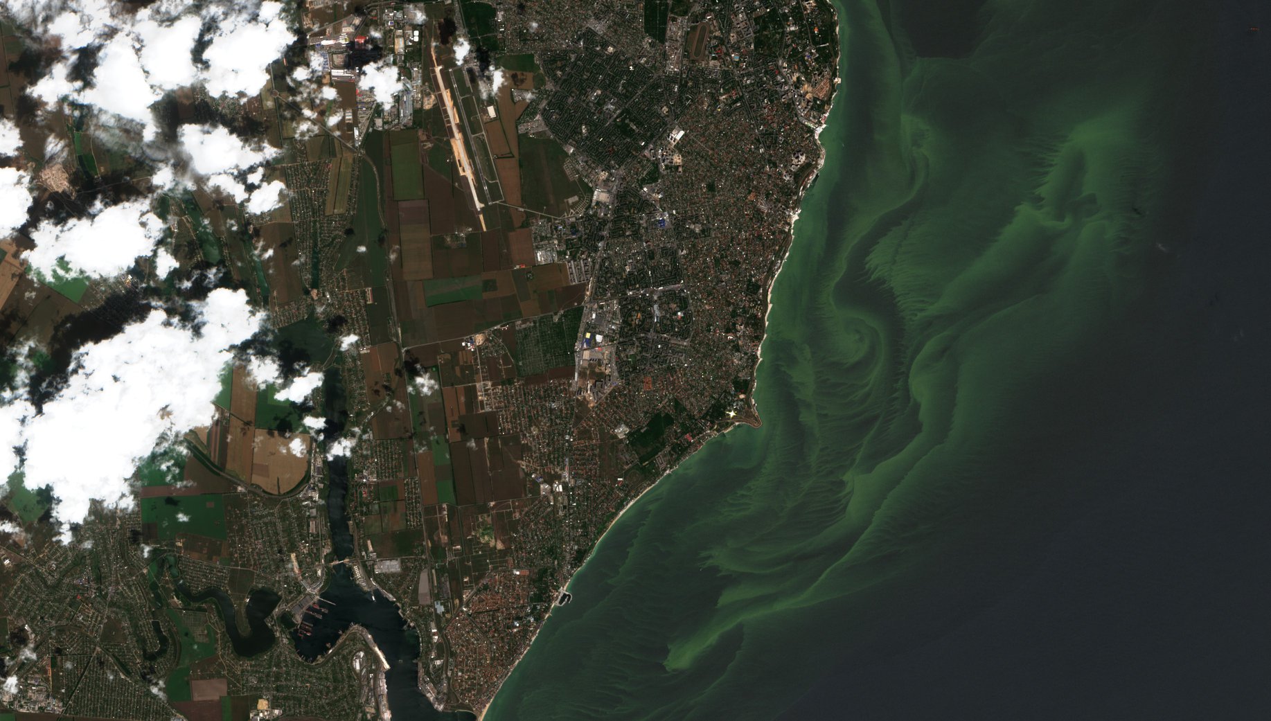 Зеленое море в Одессе из космоса. Фото: Однимсловом/Facebook