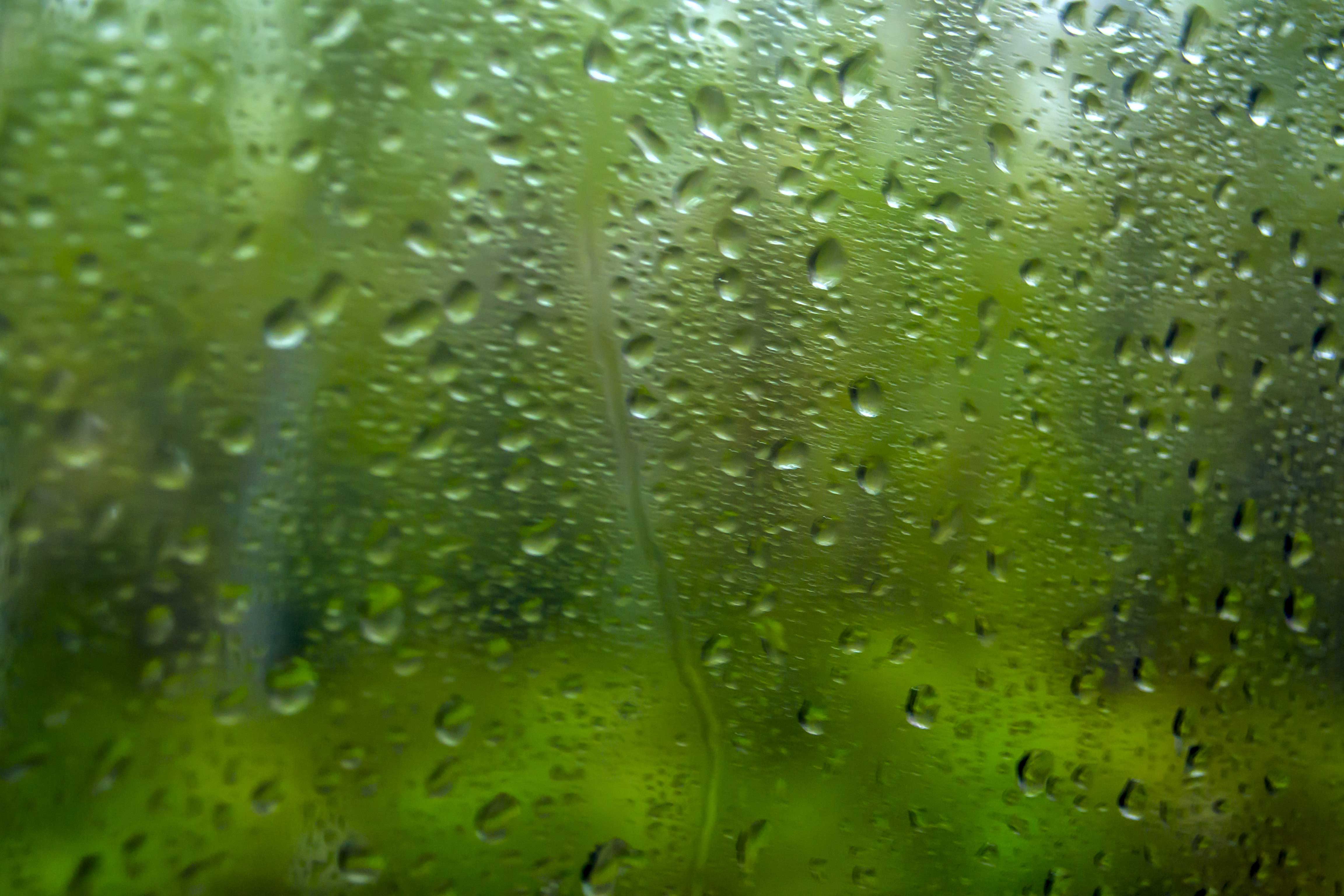 Летний дождь. Фото: Сергей Петрович Нестеров