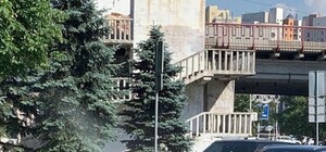 Не надо стеснятся: на набережной голый мужчина купался на улице (видео)