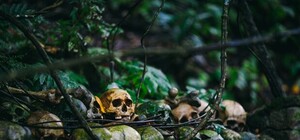 Моторошна знахідка: під фонтаном у центрі Львова виявили людські черепи