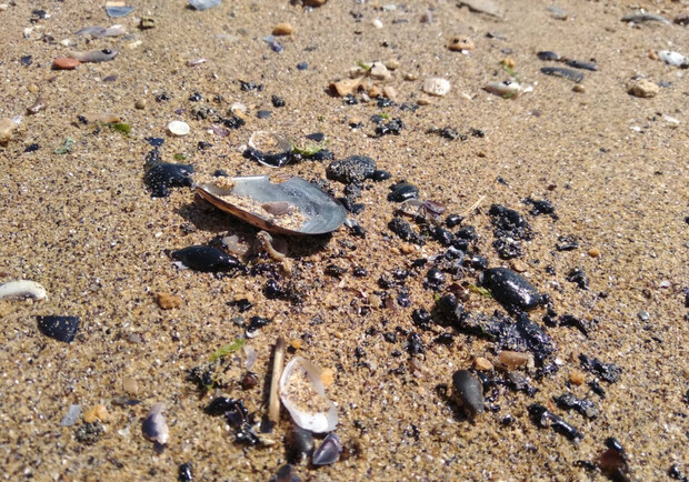 На пляжи в Одессе выбросило мазут. Фото: Ольга Бурлака