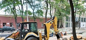 Странная реконструкция: на Софиевской уже спилили десятки деревьев