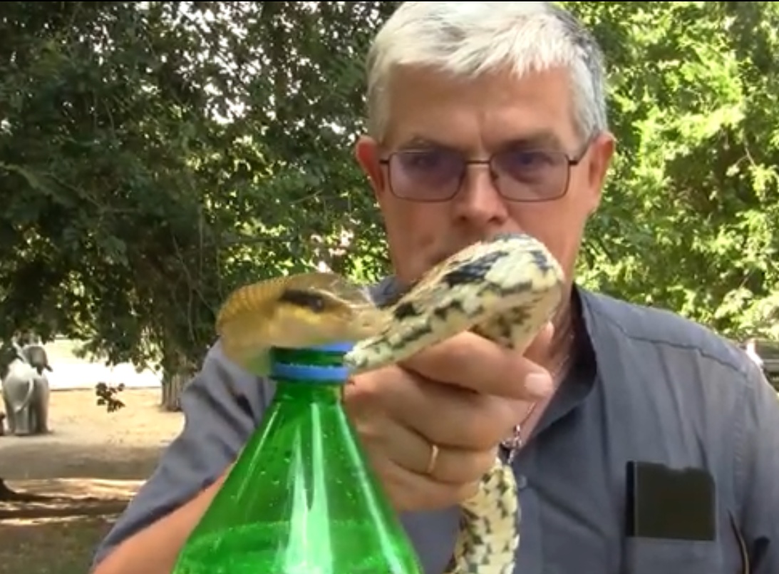 Змея открывает бутылку Кадр из видео 