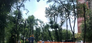 От идеи до воплощения:  начались работы на аллее вдоль Запорожского шоссе