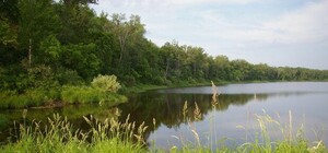 Будь в курсе: на Полтавщине появились новые памятники природы