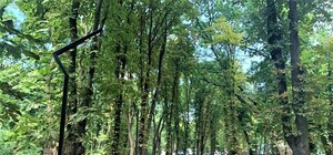 Бери с собой гаджеты: в парке Гагарина появится бесплатный Wi-Fi